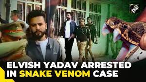 Elvish Yadav arrested in snake venom case, sent to 14 day judicial custody - YouTube