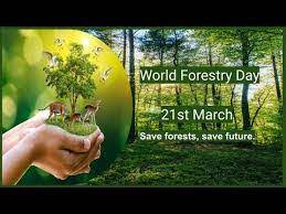 World Forest Day: Bring some greenery into your life