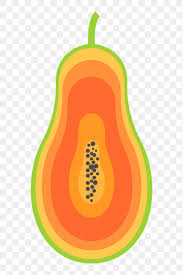 Fruit Graphic Papaya Images | Free ...